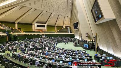 نمایندگان با وظایف و اختیارات سازمان ملی مهاجرت موافقت کردند