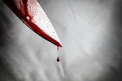 قاتل بازار میوه تره‌بار تهران قبل از فرار به ترکیه در دام قانون افتاد