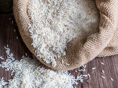 واردات بی‌رویه در آستانه برداشت برنج، تولید داخلی را تهدید می‌کند     