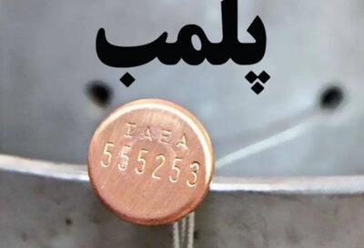 پلمب یک کشتارگاه غیرمجاز گوشت در شهریار