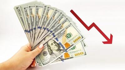 قیمت دلار با اخبار مذاکرات سقوط کرد / ریزش چشمگیر قیمت دلار امروز ۲۹ تیر