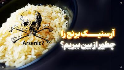 برنج آلوده نخورید/ 4 روش‌ ساده برای کاهش آرسنیک در برنج