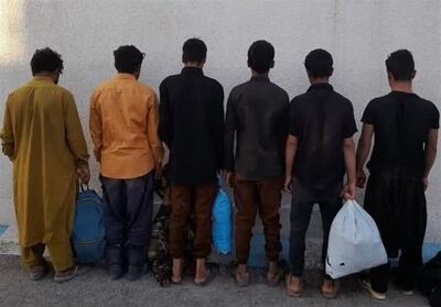جمع‌آوری 524 اتباع غیرمجاز در آذربایجان‌ شرقی - تسنیم