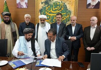 بهره‌مندی بیش از 40 هزار بیمار افغانستانی از گردشگری سلامت مشهد - تسنیم