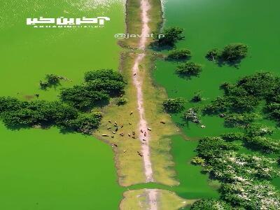 تالاب زیبای استیل در آستارا