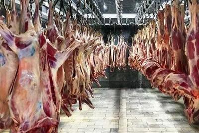 از تاثیرات واردات گوشت تا چرایی افزایش قیمت