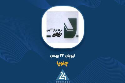 ارتقای شاخص‌های مالی «چنوپا» در ۹ ماهه؛ رشد همزمان درآمد و سود خالص