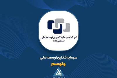 تغییرات سود «وتوسم» در نیمه اول سال ناچیز بود