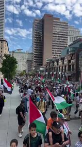 تظاهرات حمایت از فلسطین در شهر مونترال کانادا/فیلم