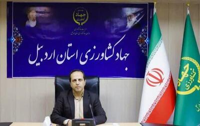 کشت هندوانه خارج از الگوی کشت، تهدیدی برای تولیدکنندگان است