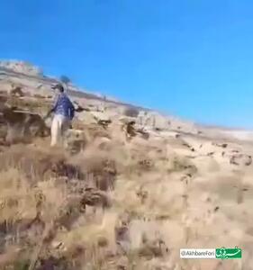 تصاویری از آتش‌سوزی در بخش‌هایی از پارک ملی تندوره
