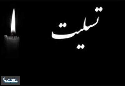 رییس هیات مدیره پتروشیمی بوشهر عزادار شد | نفت ما
