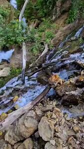 فیلم زیبایی آرامش‌بخش آبشار وارک در لرستان