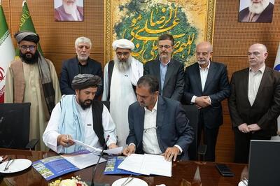 در سال ۱۴۰۳ بیش از ۴۰ هزار بیمار افغانستانی از خدمات درمانی مشهد بهره‌مند شدند