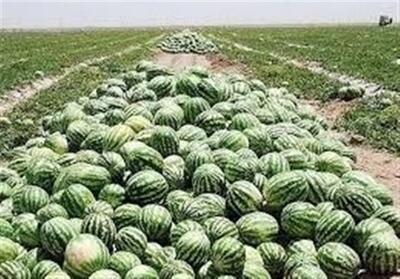 بازی 2 سر باخت هندوانه‌کاران اردبیل - تسنیم