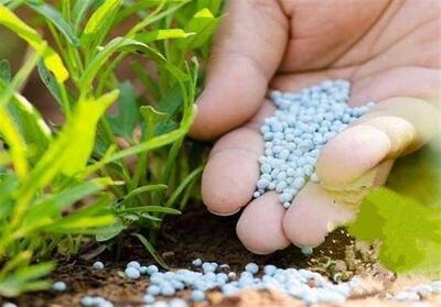 فعالیت 3600 کارگزار توزیع کود شیمیایی کشاورزی در کشور - تسنیم