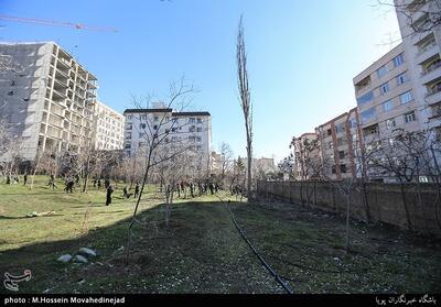 بازآفرینی شهری؛ نسخه نجات محلات فراموش‌شده خراسان شمالی - تسنیم