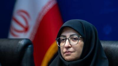 رئیس سازمان حفاظت محیط‌زیست: همه دستگاه ها در موضوع گردو غبار پای کار باشند