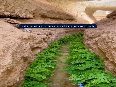 قناتی سرسبز با قدمت زمان هخامنشیان