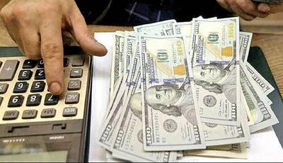 جریمه ۲۵ میلیارد ریالی برای قاچاق ارز