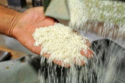 پرداخت ۲۵۰۰ میلیارد تومان یارانه بذر برای تضمین تولید سال آینده