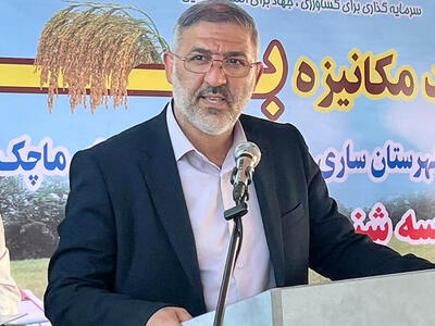 حمایت از تولید داخل مستلزم کنترل واردات برنج است