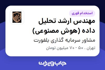 استخدام مهندس ارشد تحلیل داده (هوش مصنوعی) در مشاور سرمایه گذاری بلفورت