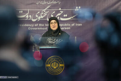 سخنگوی دولت: صداهای جامعه متکثر را بشنویم/  هلال احمر پیگیر ارسال کمک به غزه است/ در طول جنگ ۲۳۰ مدرسه به عنوان پناهگاه ساماندهی شد