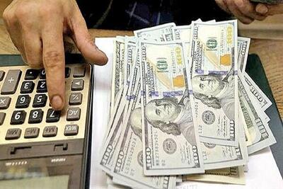 جریمه ۲۵ میلیارد ریالی برای قاچاق ارز در تهران