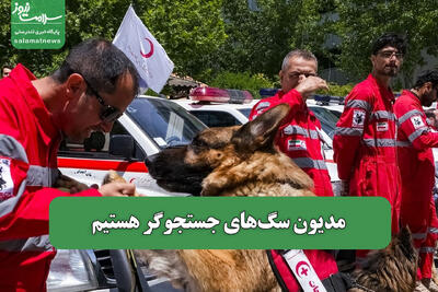 مدیون سگ‌های جستجوگر هستیم