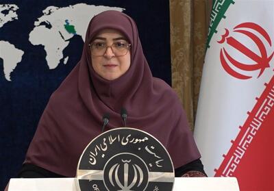 سخنگوی دولت: در صورت نیاز تعطیلی‌ها ادامه می‌یابد - تسنیم