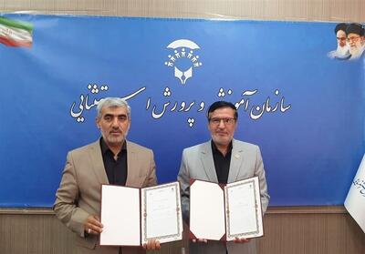 امضای تفاهم‌نامه همکاری کمیته ملی پارالمپیک و سازمان آموزش و پرورش استثنایی - تسنیم