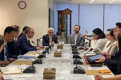 دیدار غریب‌آبادی با ۱۰ عضو غیردائم شورای امنیت