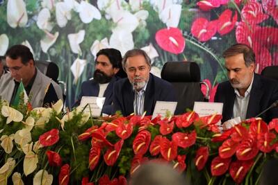 با سینما می‌توان مسائل بومی را جهانی کرد