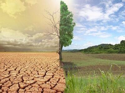 بیابان‌زایی فقط مشکل مناطق خشک نیست