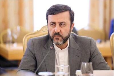 غریب‌آبادی: همکاری با آژانس با محدودیت‌های جدید و بدون بازدید ادامه می‌یابد