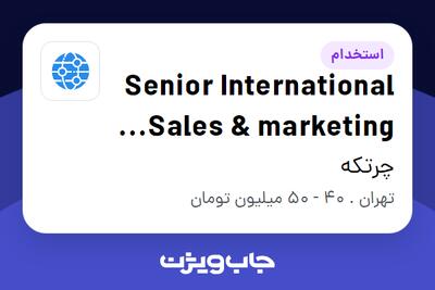 استخدام Senior International Sales   marketing Executive (Account Manager) در چرتکه