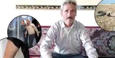 فیلم مصاحبه خنده دار با  عسگر آقا که طعمه مارهای روستا شد / مار ها از جان  این مرد چه می خواهند!