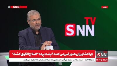 امید به کاهش قیمت برنج ایرانی با مدیریت جدید بازار + فیلم