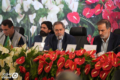 با سینما می‌توان مسائل بومی را جهانی کرد - سوره سینما