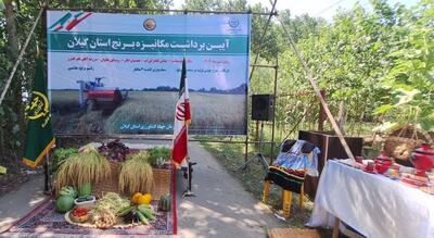 گیلان، پیشگام در کشاورزی نوین؛ جشن برداشت مکانیزه برنج، نویدبخش رونق و خودکفایی