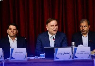 52 درصد محصولات پتروشیمی کشور در بوشهر تولید می‌شود - تسنیم