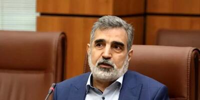 کمالوندی: صنعت هسته‌ای در کشور ما ریشه دارد