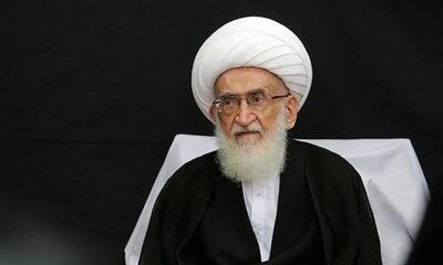 آیت الله نوری همدانی خطاب به به پاپ: در پیشگیری از جنایات رژیم صهیونیستی اقدامات موثری انجام شود