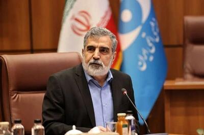سخنگوی انرژی اتمی: صنعت هسته‌ای با ریشه‌های عمیق، ضربه‌پذیر نیست
