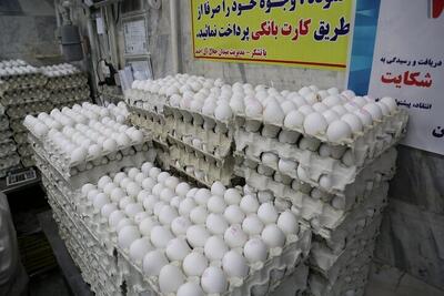 کاهش قیمت تخم‌مرغ در «گرما»/ برنج و گوشت قرمز چند؟/ اعتراض مردم به گرانی ماست و پنیر +جدول