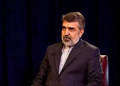 کمالوندی: صنعت هسته‌ای در کشور ما ریشه دارد و با حمله و فشار صدمه نمی‌بیند