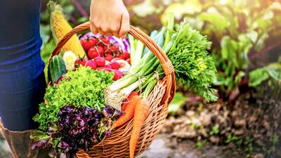 7 سبزیجات مناسب برای کاشتن در تابستان