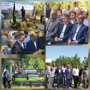 نخستین برداشت مکانیزه برنج استان گیلان در صومعه سرا انجام گرفت