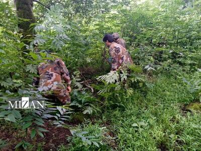 ۱۰ هزار متر از اراضی ملی بخش رحیم‌آباد در استان گیلان رفع تصرف شد